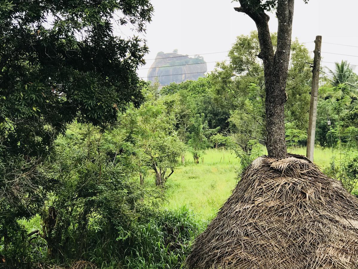 מלון Sigiriya Rock Hide מראה חיצוני תמונה