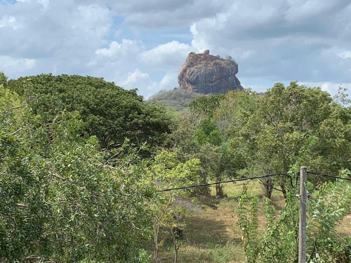 מלון Sigiriya Rock Hide מראה חיצוני תמונה