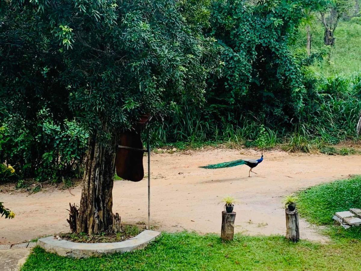 מלון Sigiriya Rock Hide מראה חיצוני תמונה